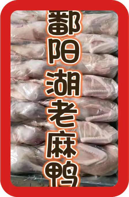 老麻鸭
