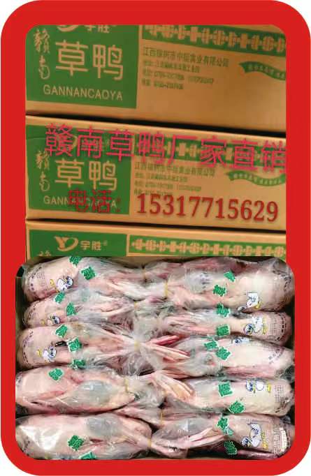 赣南草鸭（10-14只）